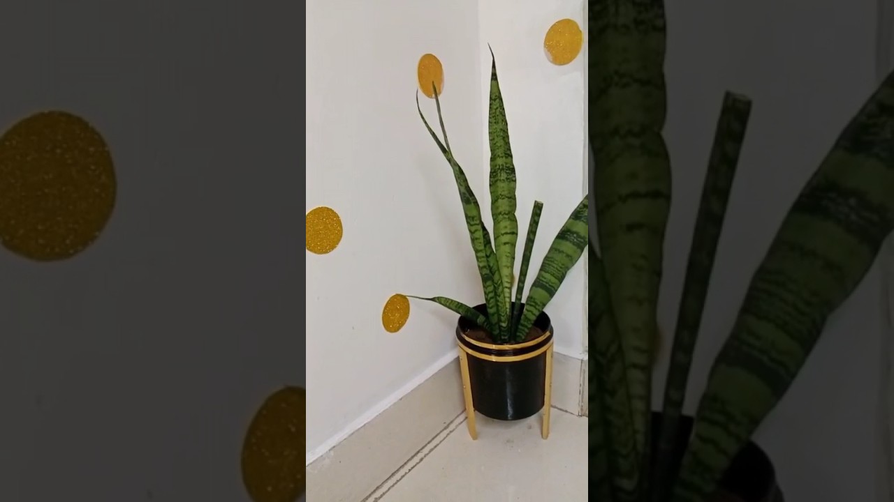 Diy with paint bucket | paint bucket planter 🪴| waste paint bucket diy | Diwali special |shorts |