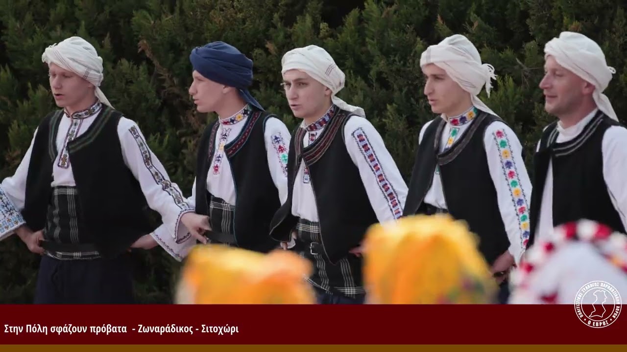 Στην Πόλη σφάζουν πρόβατα - Ζωναράδικος - Σιτοχώρι