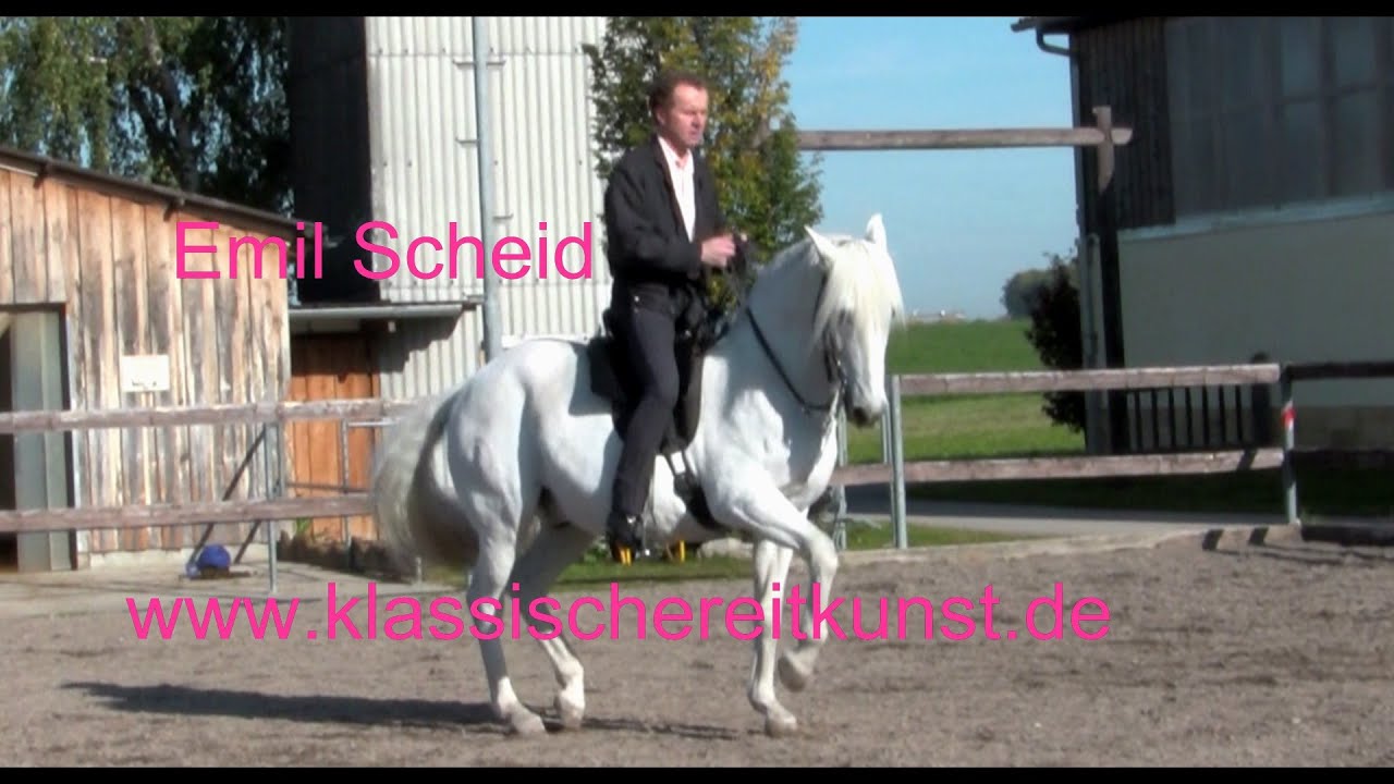 Piaffe Passage Training 2, Emil Scheid, Klassische Reitkunst