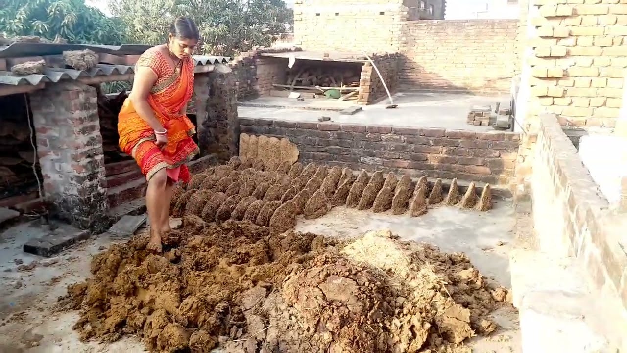 Gobar ko Laat Se shamshan Kar Maar Hi Dala Gobar paise Katate Hue housewife hard work