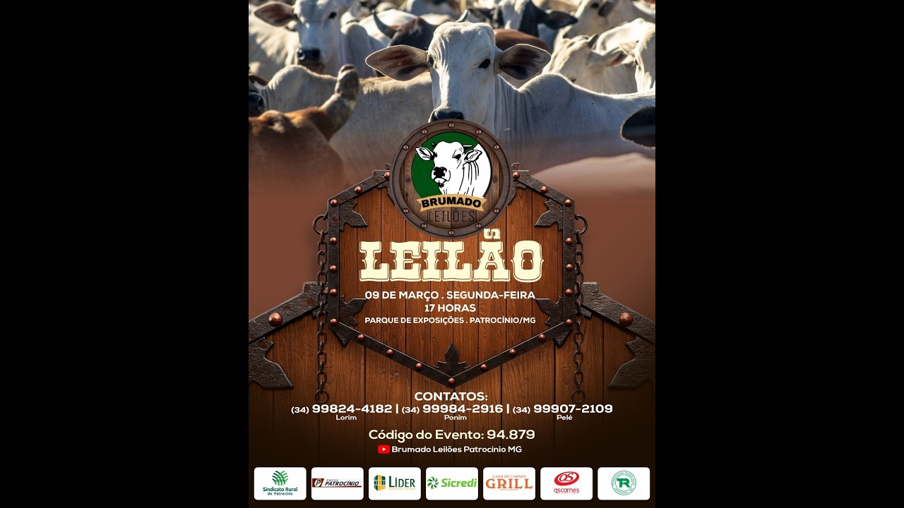 146°LEILÃO MISTO  - BRUMADO LEILÕES | PATROCÍNIO/MG - 09/03/2026
