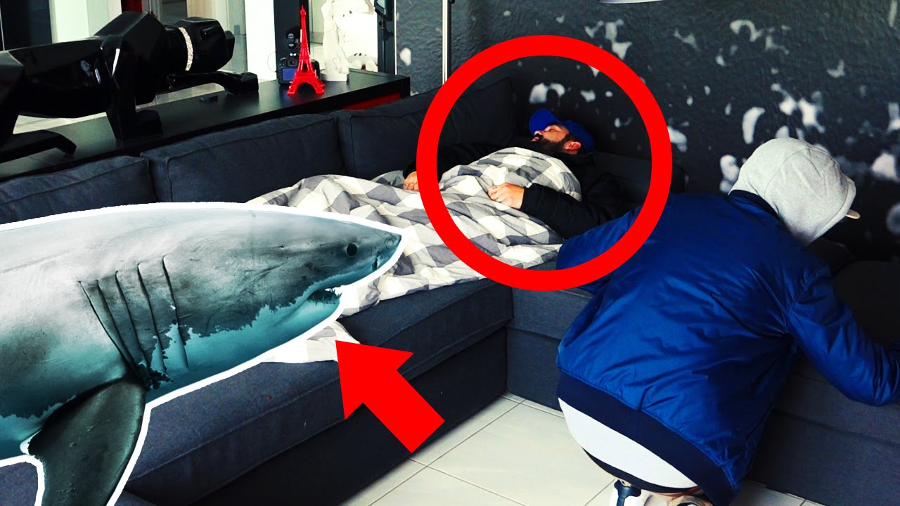 ECHTER HAI IM BETT + Soziales Experiment (GONE WRONG)