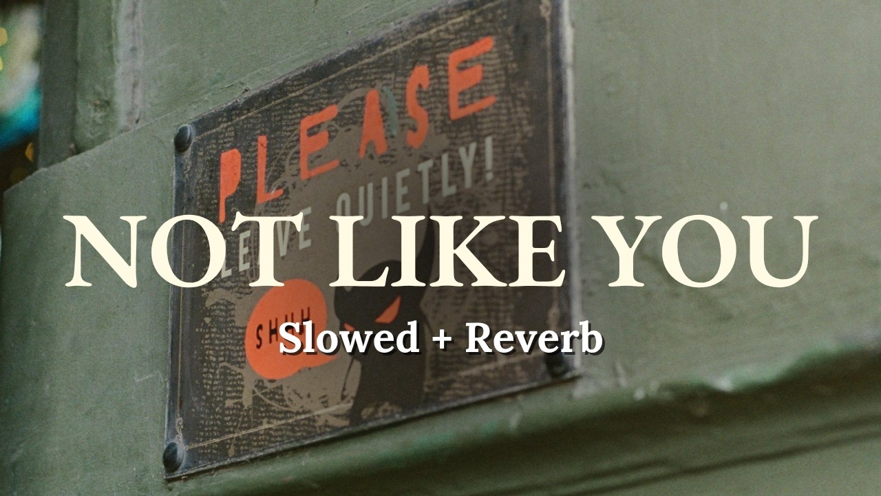 Not Like You (Slowed + Reverb) | Hammy Muzic x Legacy | RAAG DROPZ | Midnight Desi Swag