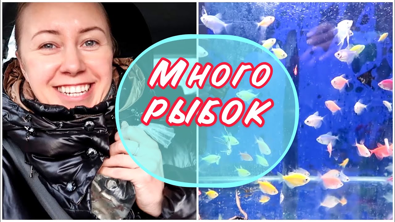 ПОКУПАЮ НОВЫХ РЫБОК В НАНО АКВАРИУМ