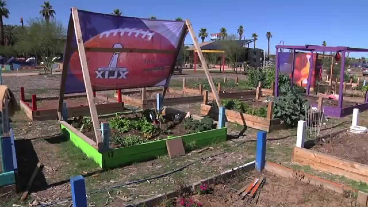 PHX Renews, Recycle Bowl, Copper Star Coffee Shop I Talking Trash