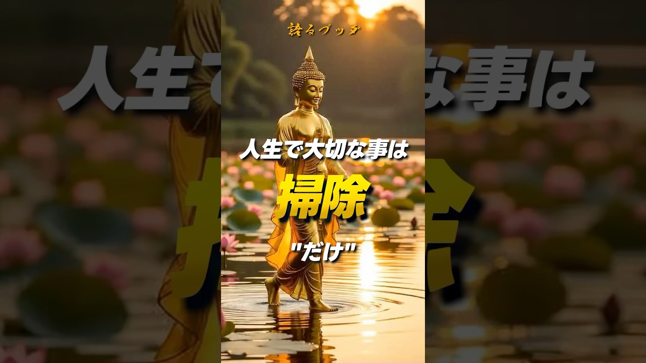 【ブッダの教え】今すぐ掃除せよ　#ブッダの教え　#仏教