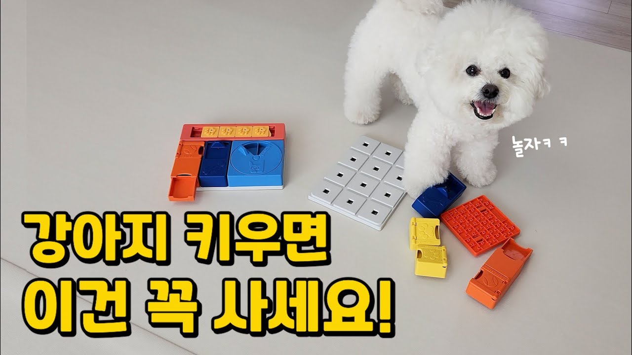 써보고 감탄한 강아지 노즈워크 장난감 4가지 (이런 장난감이 나오네요ㄷㄷ)