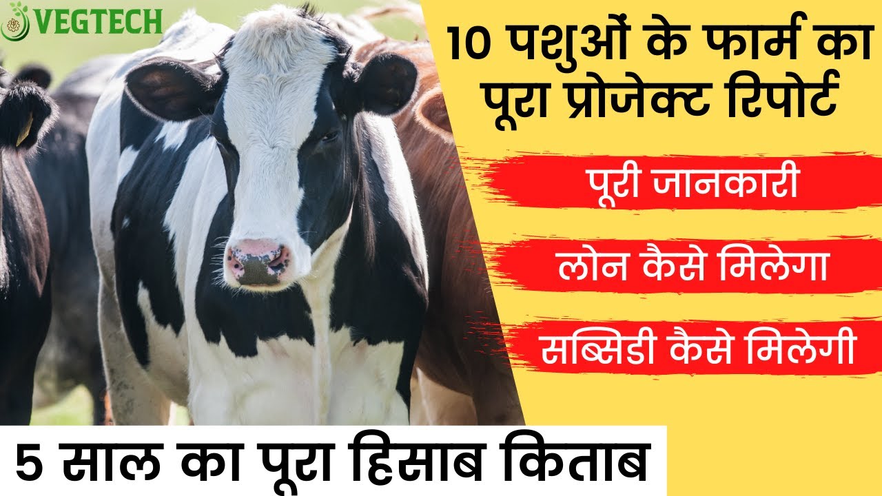 10 HF Cows के डेयरी फार्म का पूरा प्रोजेक्ट रिपोर्ट - पूरी जानकारी, VegTech