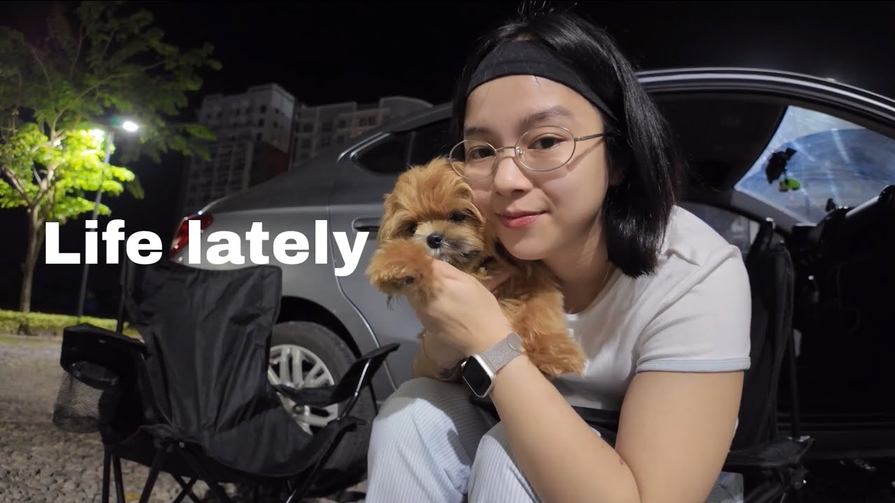 Guess who’s back in her vlogging era?