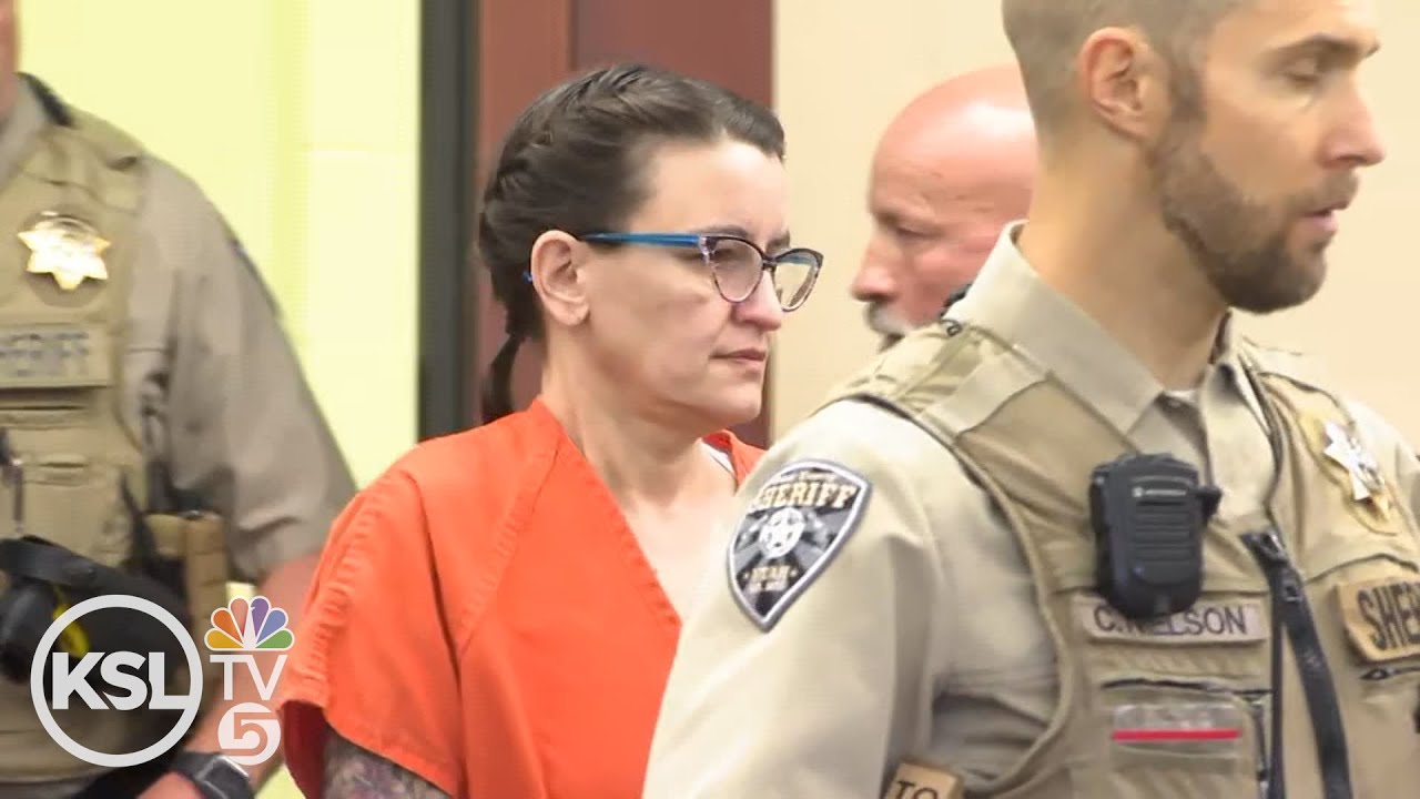 COURT HEARING: Judge compares Gavin Peterson’s treatment to WWII prisoners in Nichole Scott hearing