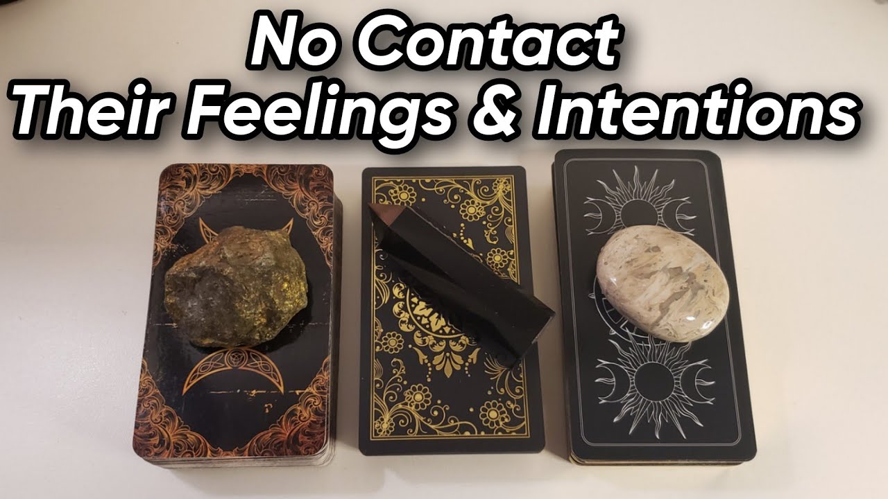 No Contact | Their Current Feelings & Intentions 🤍🖤 Pick A Card Love Reading