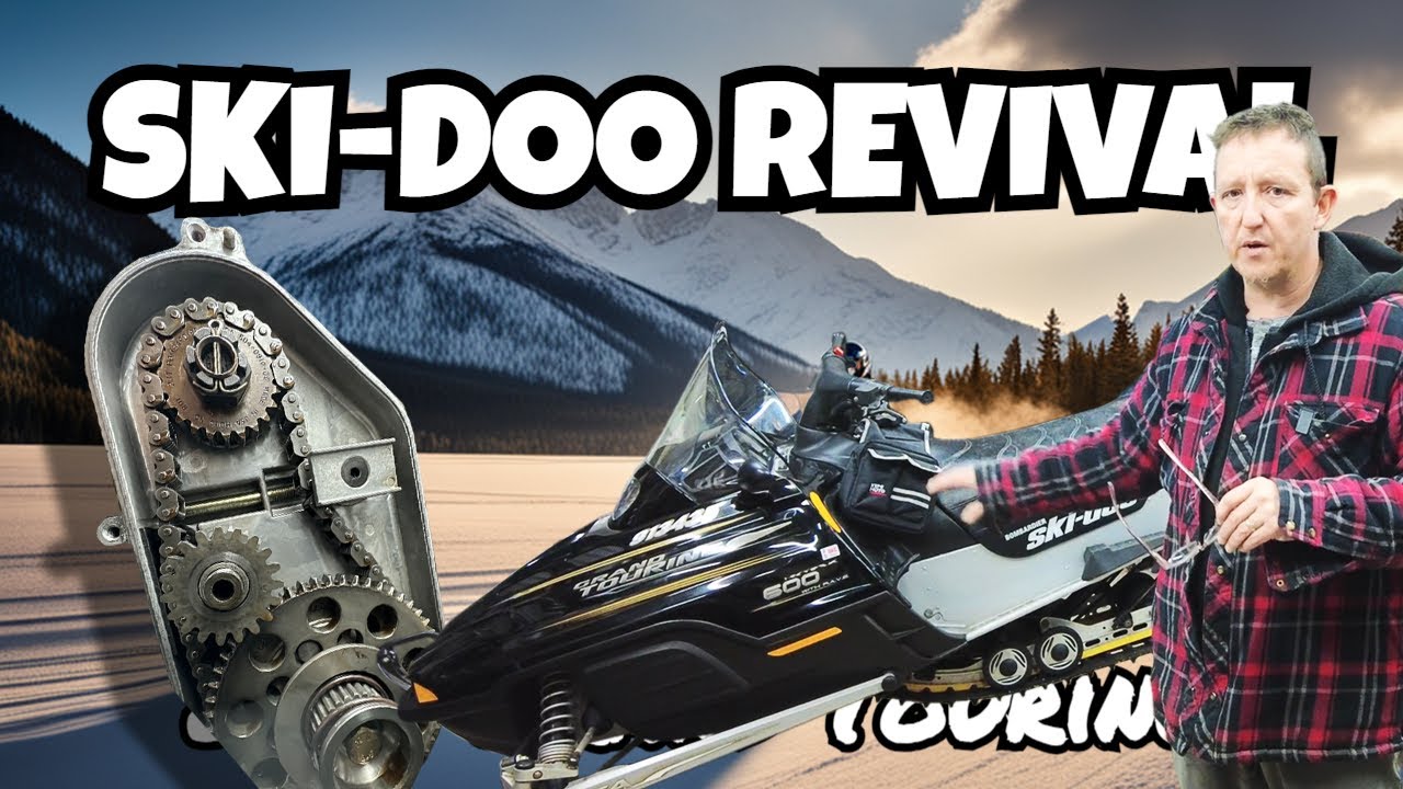 DIY Snowmobile Chaincase Bearings Replacement - SAVE MONEY!