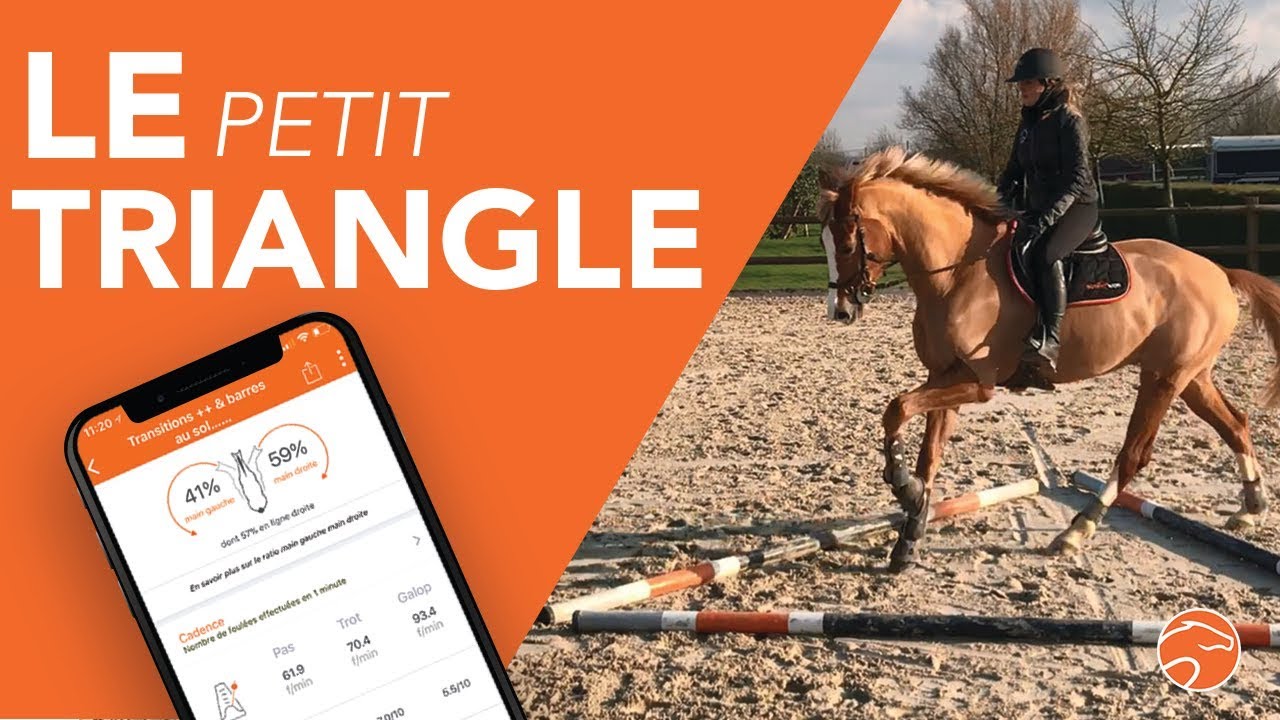 Le TRIANGLE - l'exercice mieux que l'instrument !