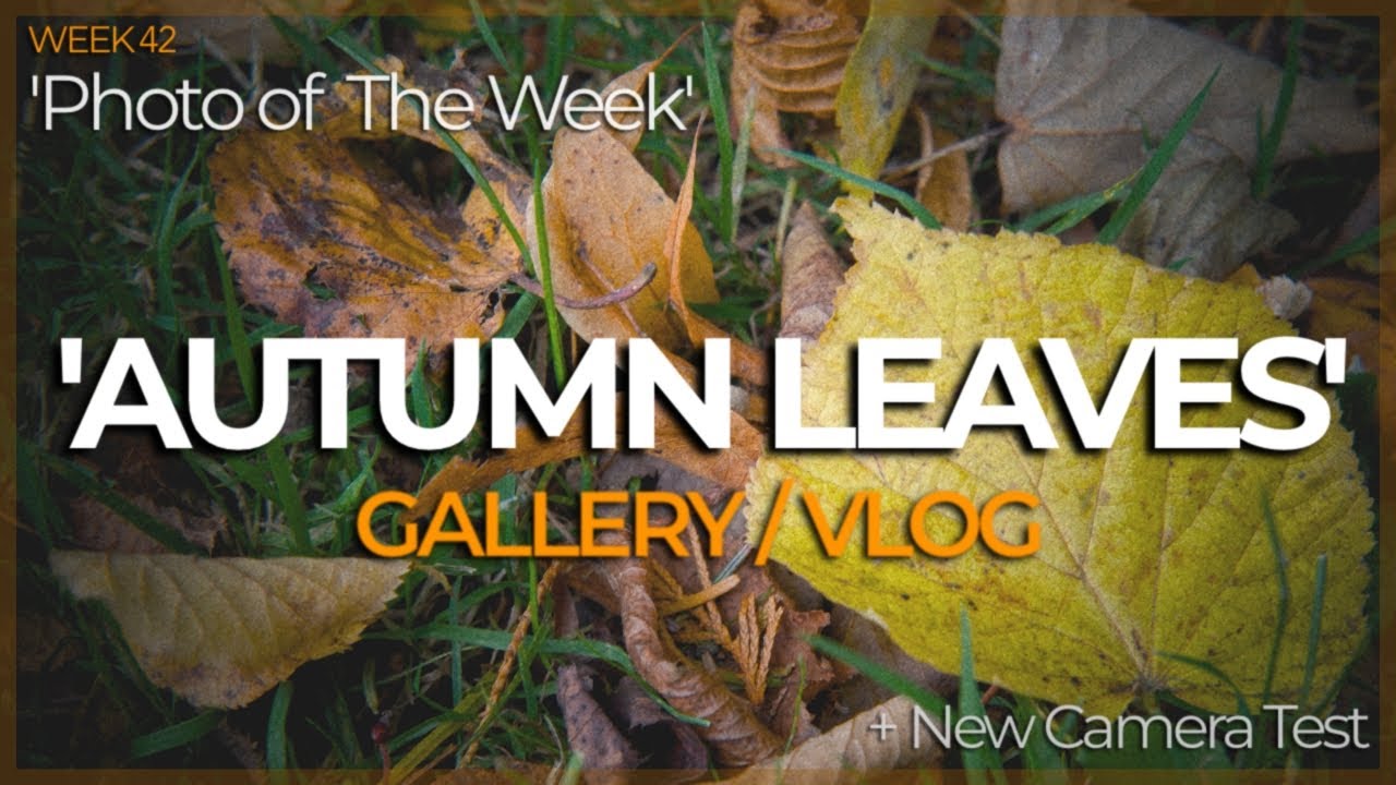 ‘Autumn Leaves’ | Gallery/Vlog - Week 42 | Fujifilm X-Pro 1