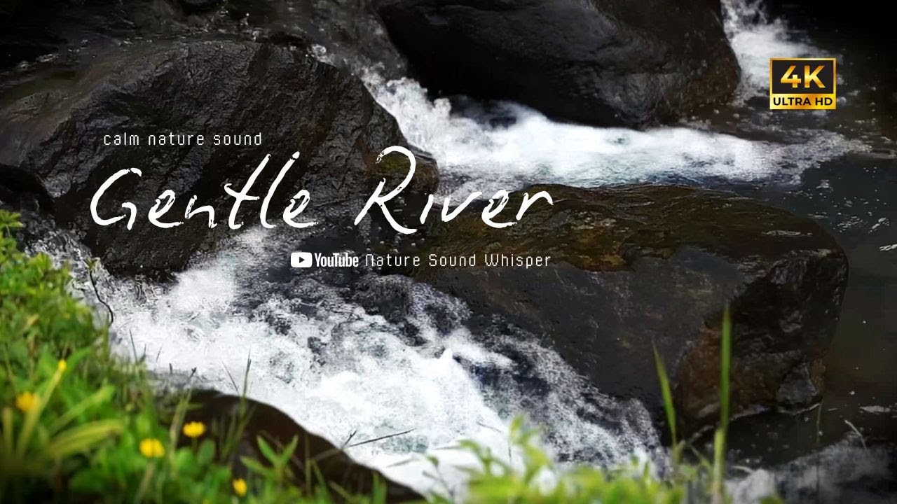 Pure Nature ASMR 3 Hours &ndash; Gentle River by the Campsite [4K Video]