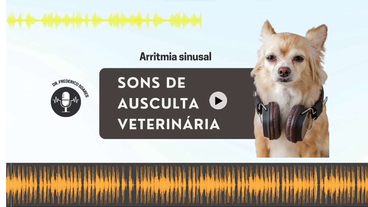 Arritmia sinusal em cães | EP. 2