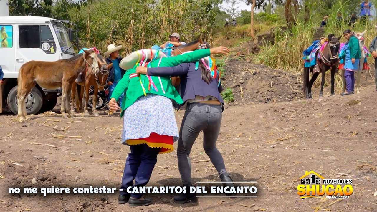 NO ME QUIERE CONTESTAR  - CANTARITOS EL ENCANTO ESTRENO 2026