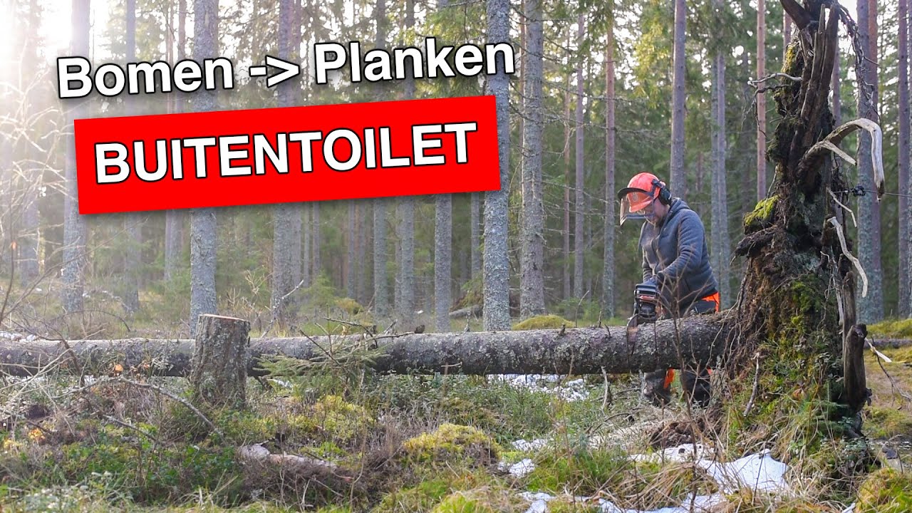 Bouwen met bomen in Zweden