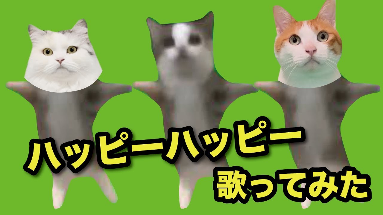 【猫ミーム？】みんなでハッピーハッピー歌ったらカオスすぎた件【漫才】【コント】 【猫アニメ】