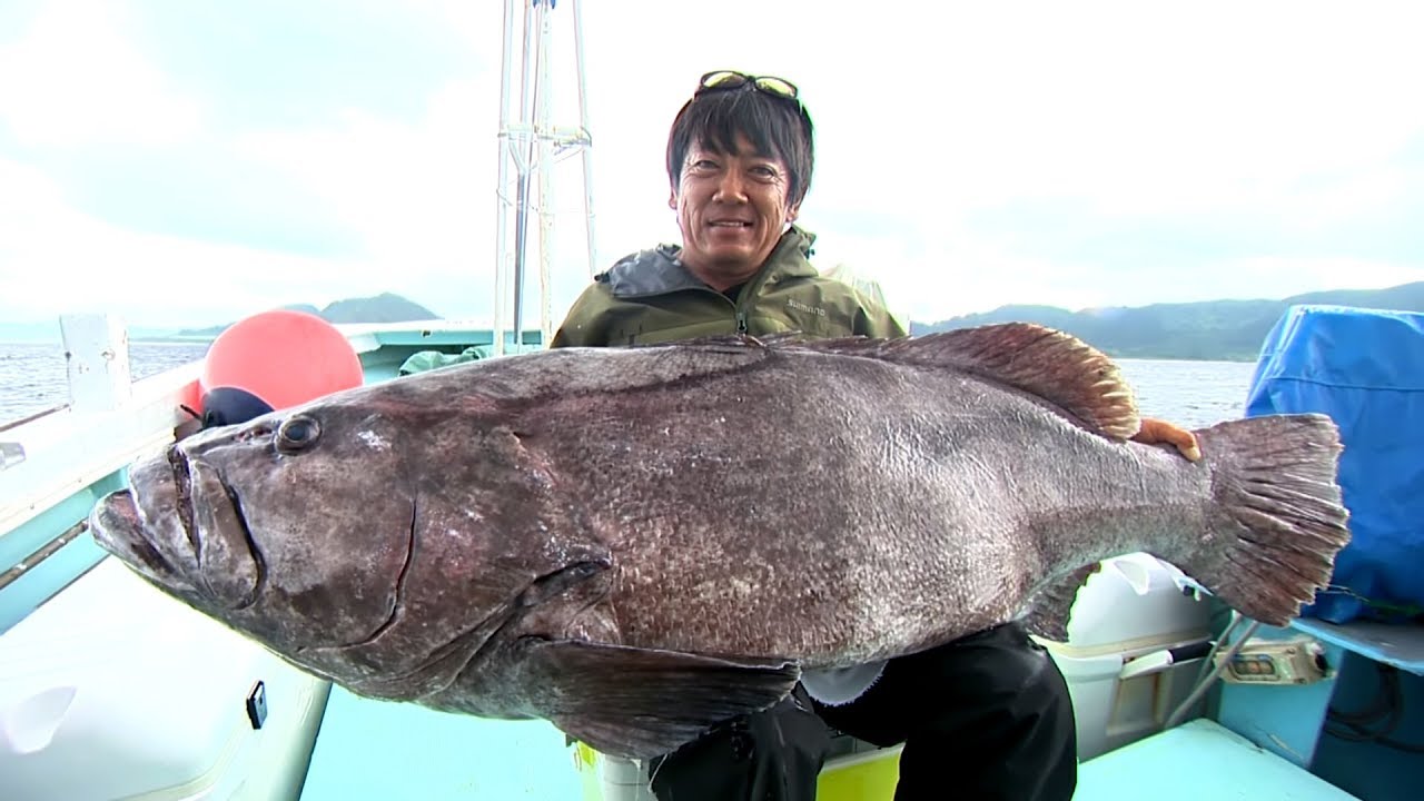 【いつでも釣り気分！】#249 58kg・超大型ハタを制圧！ビーストマスター2000で驚愕のパワーゲーム