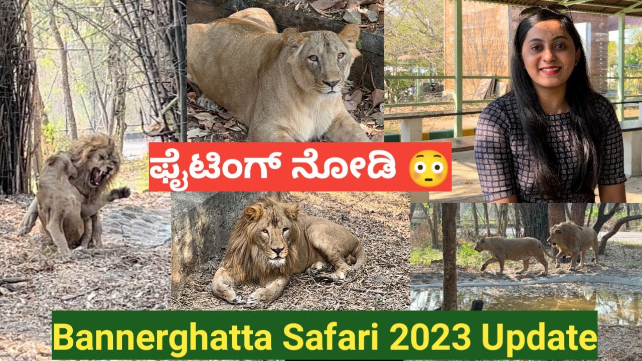 BANNERGHATTA NATIONAL PARK BANGALORE 2023 UPDATE | Jungle Safari | Kannada vlog