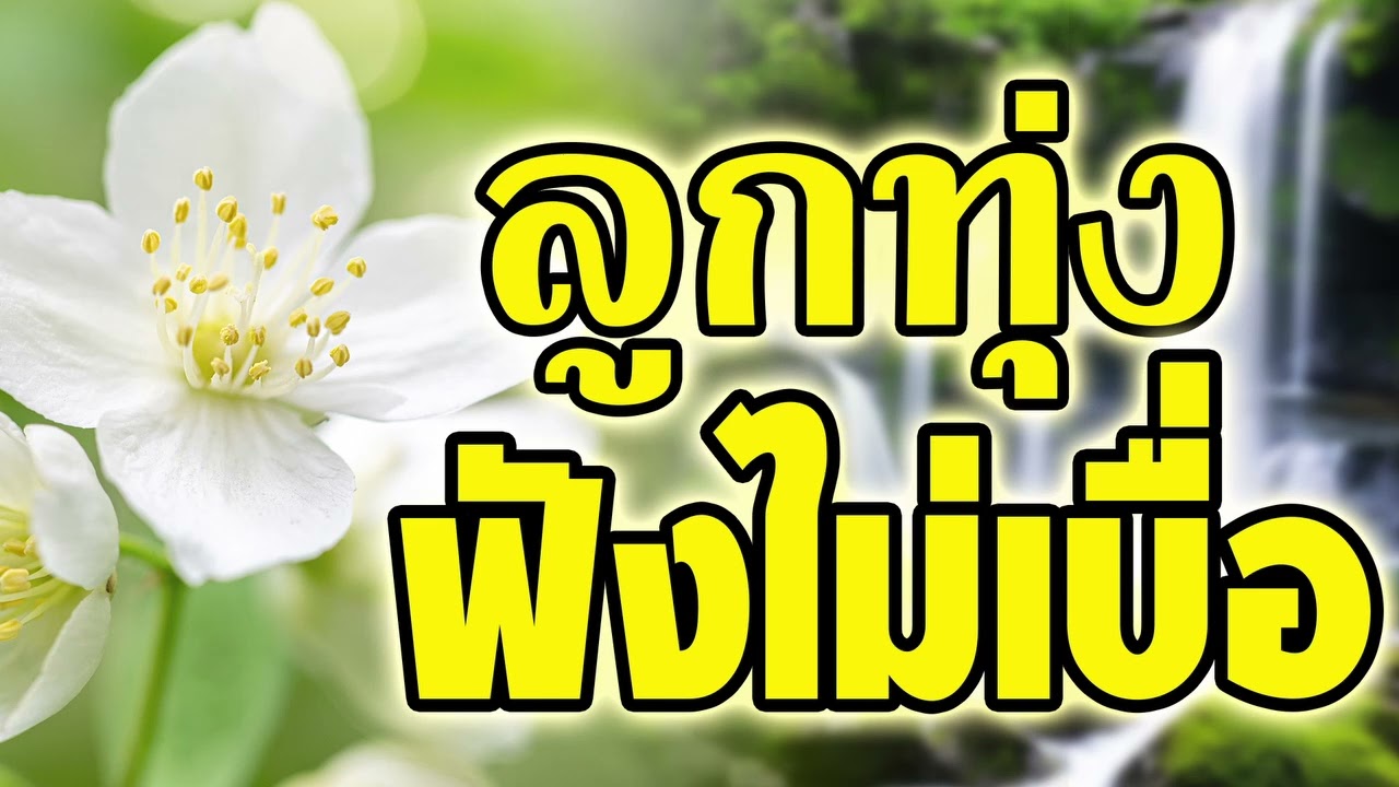 ลูกทุ่ง เพลงเพราะฟังไม่เบื่อ #เสียงดี