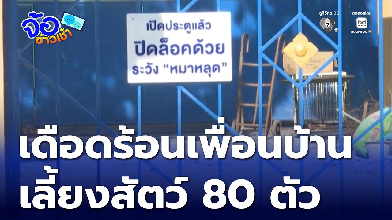 ชาวบ้านเดือดร้อน เพื่อนบ้านเลี้ยงสัตว์ กว่า 80 ตัว | จ้อข่าวเช้า