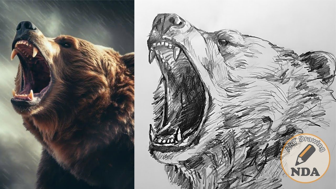 HOW TO DRAW BEAR DRAWING - PENCIL DRAWING