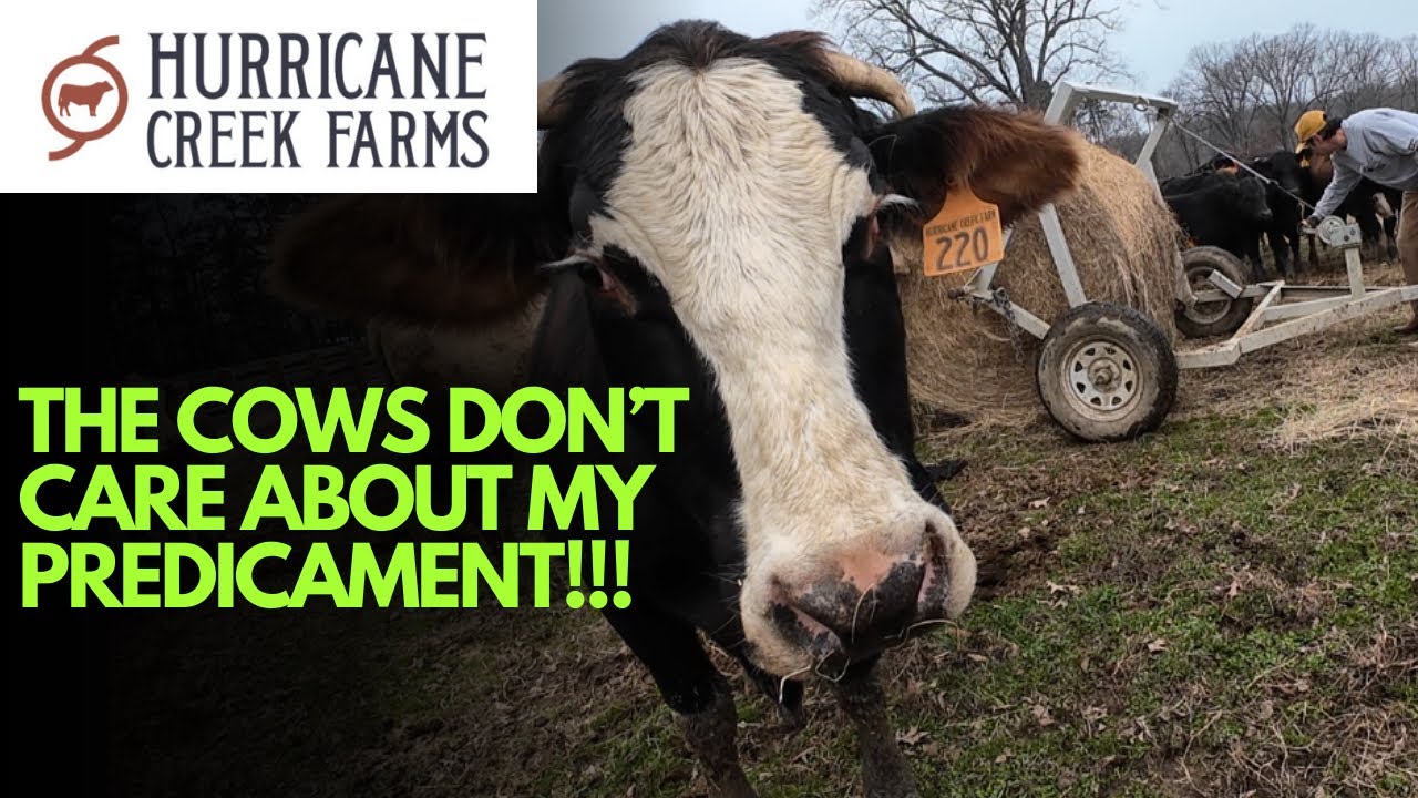 How can we feed without a tractor?