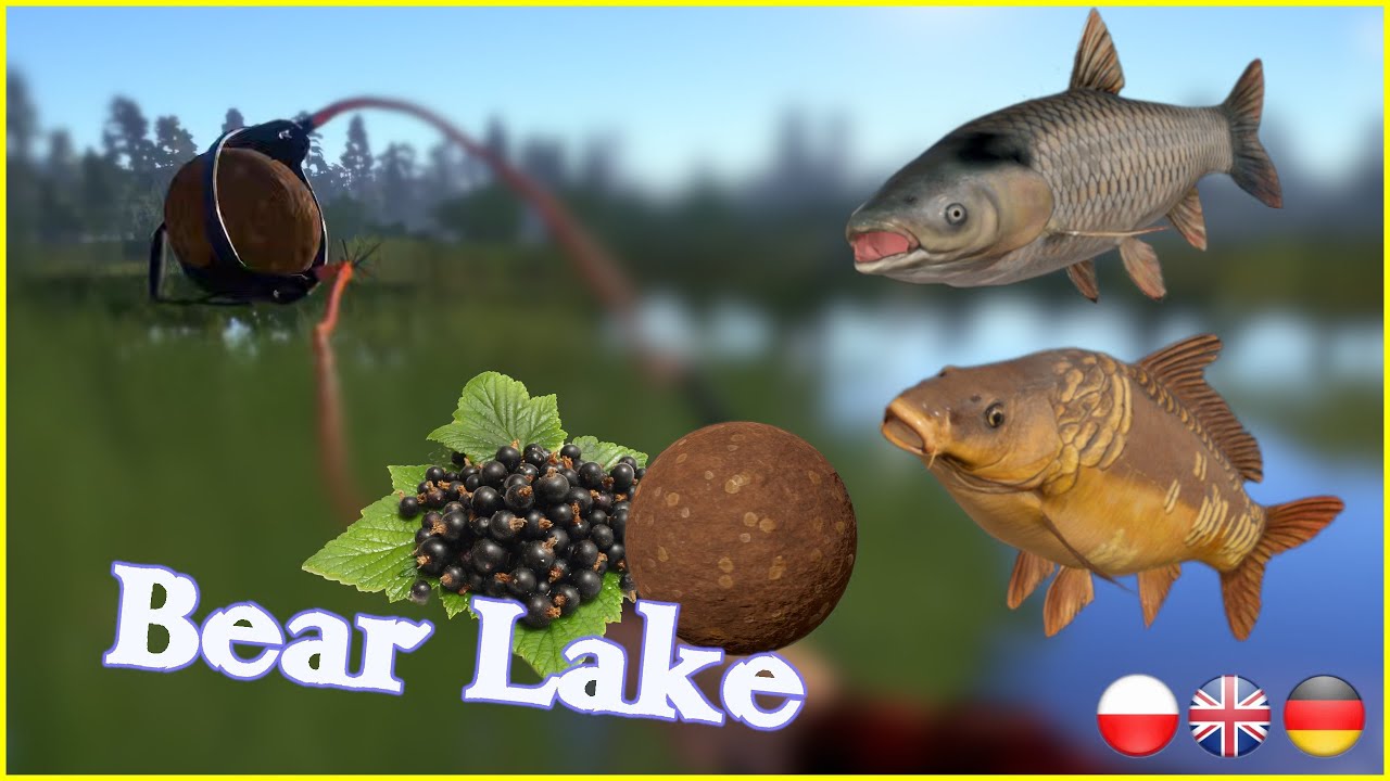Bear Lake carp no pva | Russian Fishing 4 rf4 spot #83 #mjplay