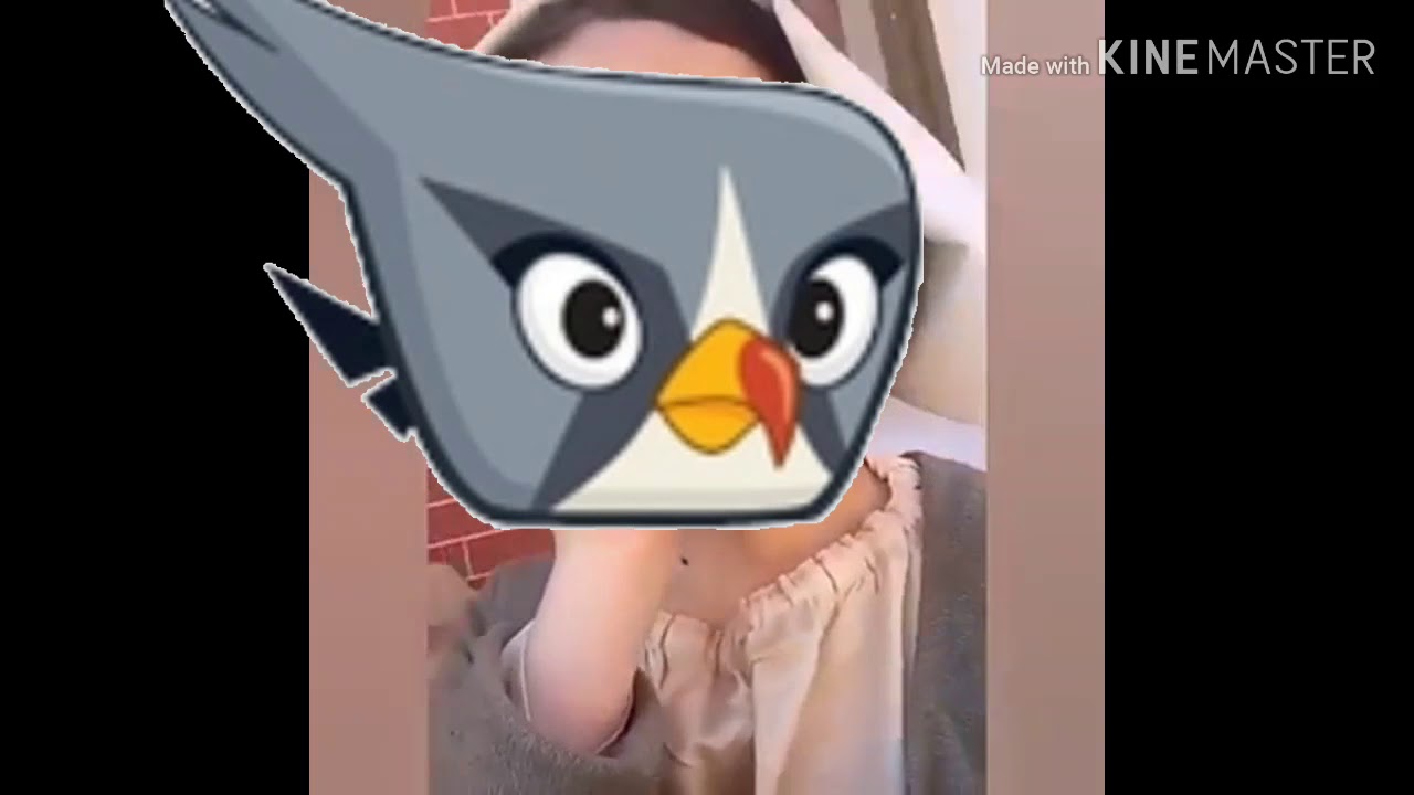 Angry birds as vine With silver and leonard and el porkador