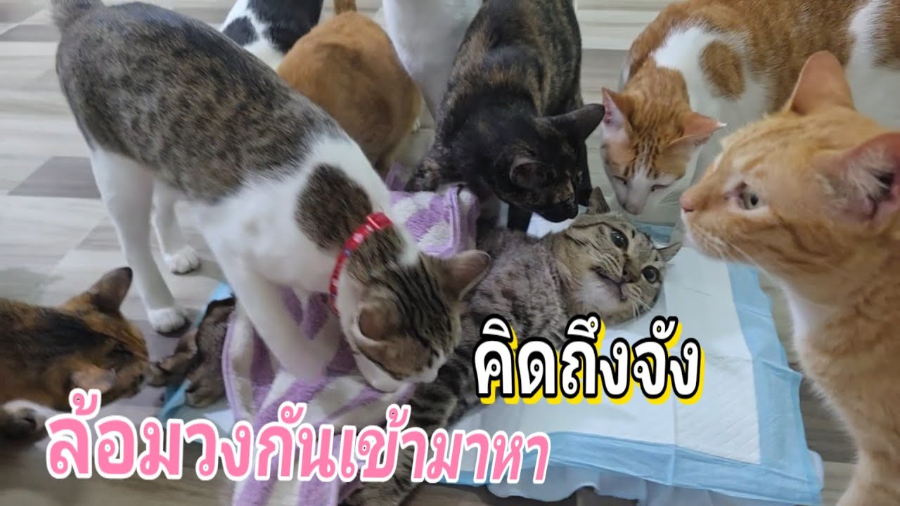 คิดถึงจัง ล้อมวงกันเข้ามา20.มี.ค.69