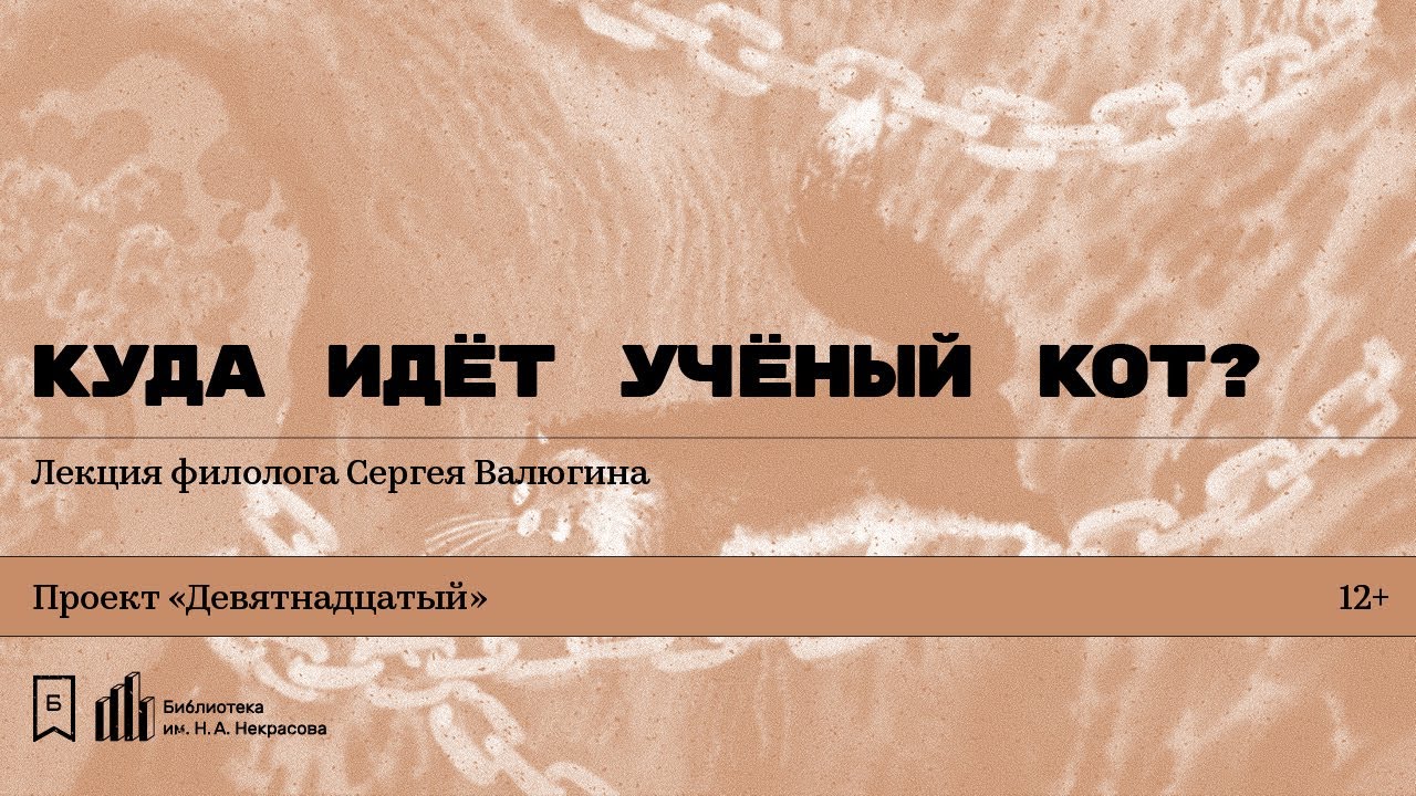 «Куда идёт учёный кот?» Лекция филолога Сергея Валюгина