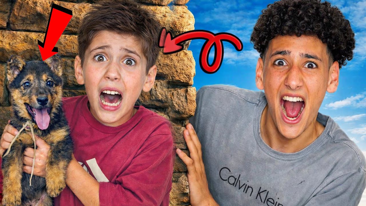 انقذت كلب من اطفال اشرار😭||اسوا حاجه شفتها في الشارع😱