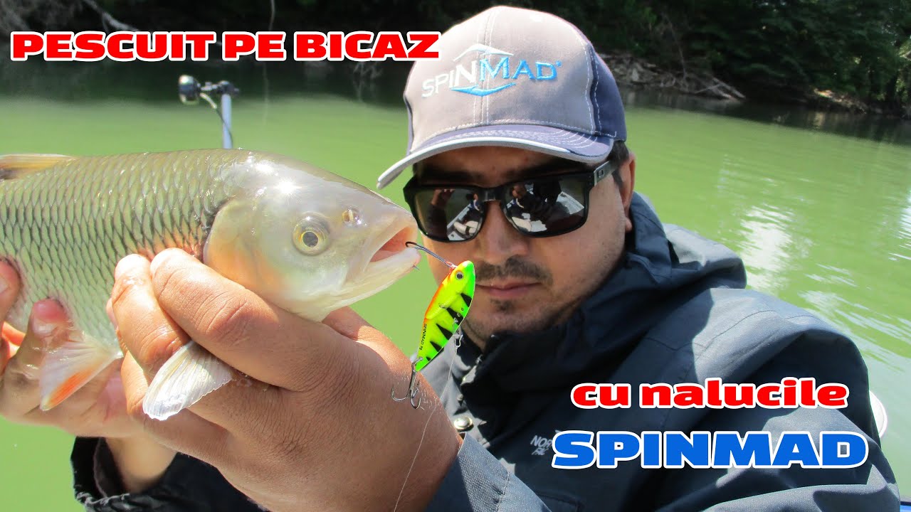 Pescuit la spinning pe lacul Bicaz cu nalucile Spinmad (cicade/spinnertail-uri)-clean si biban