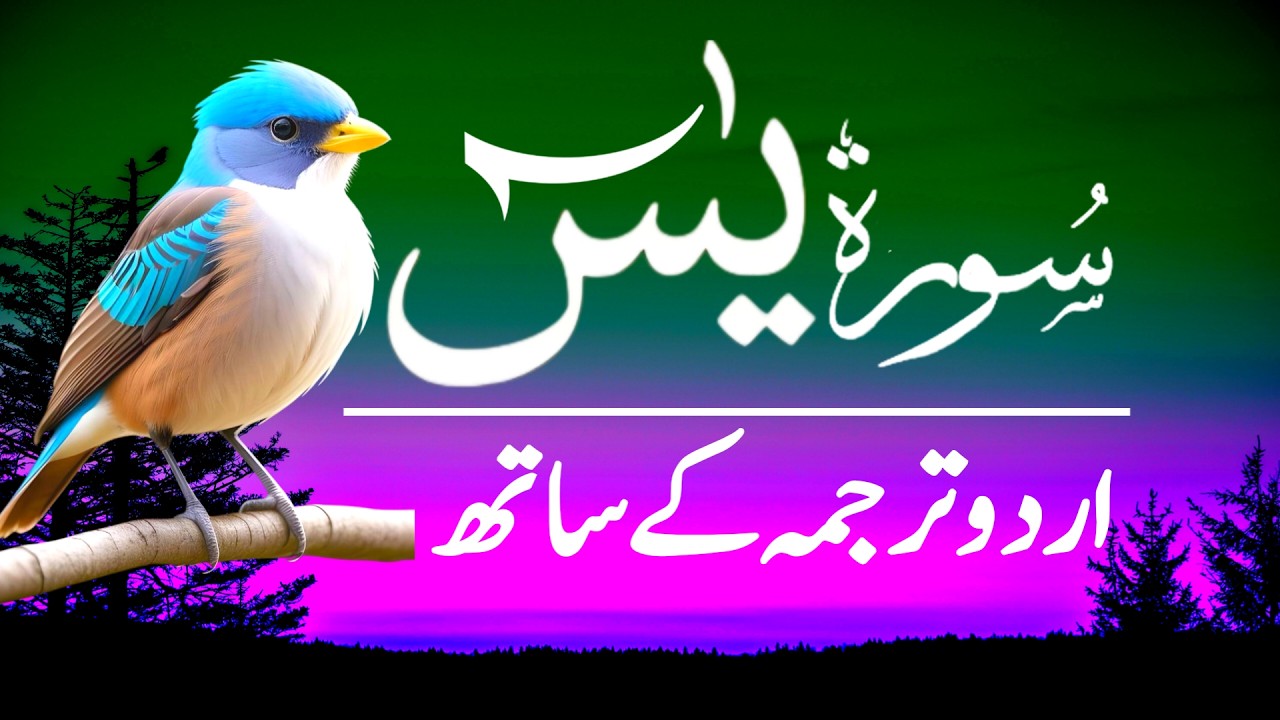Surah Yasin | Surah Yaseen With Urdu Trnslation Full | Ep-008