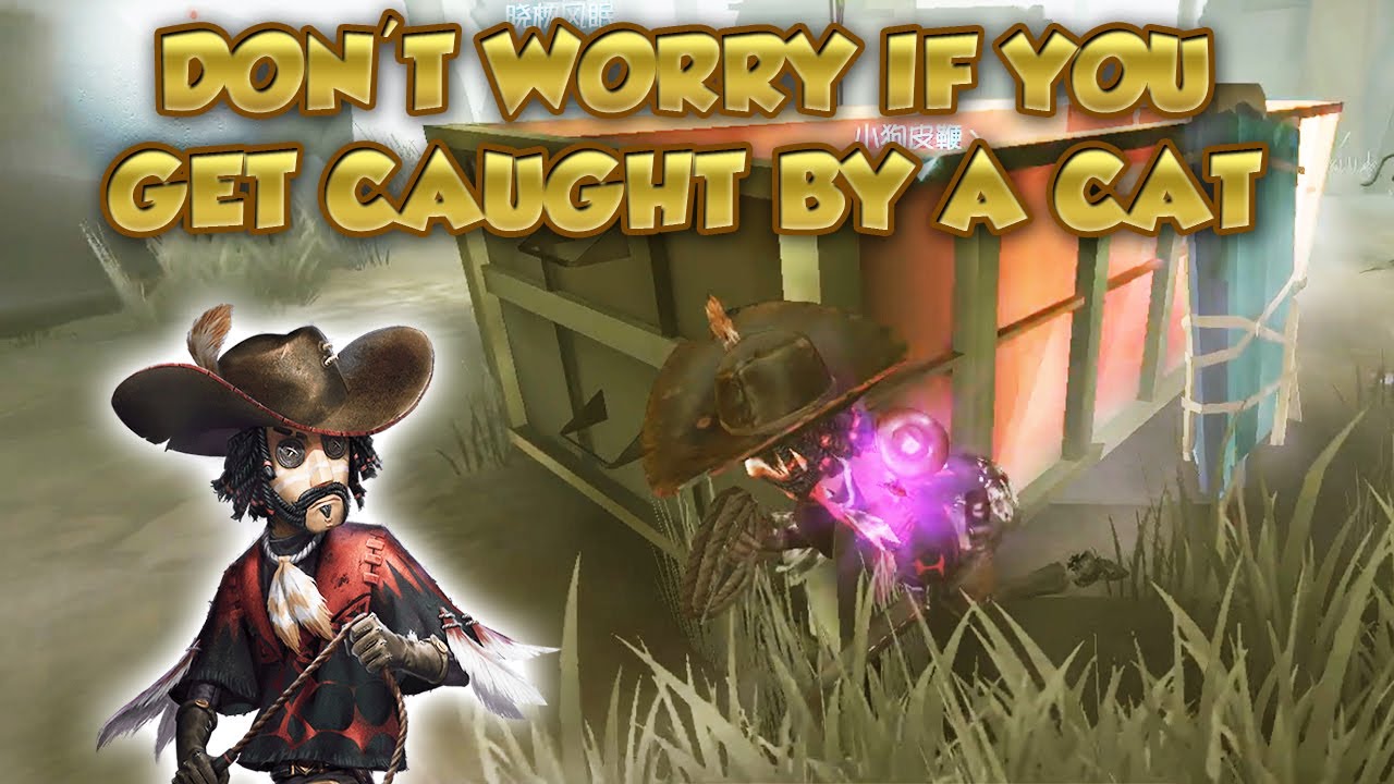 Don't Worry If You Get Caught By A Cat | Identity V | 第五人格 | 제5인격 | アイデンティティV | Cowboy