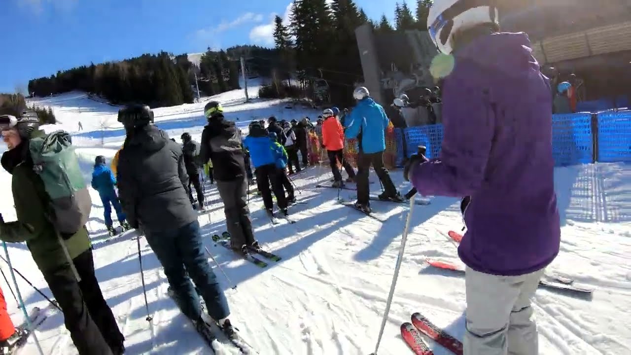 Skiare&aacute;l Ple&scaron;ivec