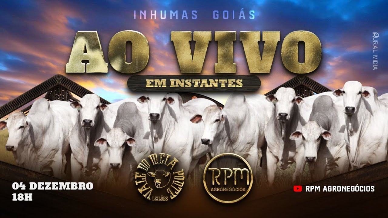 LEILÃO VIRTUAL E PRESENCIAL VALE DO MEIA PONTE LEILÕES - INHUMAS - 04 DE DEZEMBRO DE 2025.