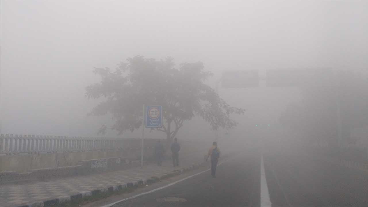Fog engulfs Delhi NCR; Traffic disrupted, flights and trains delayed  , Watch Video
