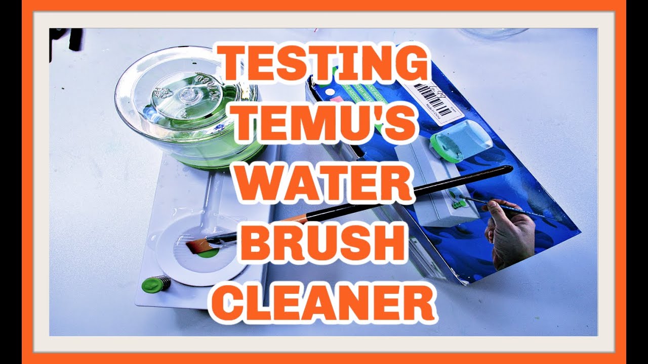 I REVIEWED TEMU'S WATER BRUSH CLEANER.. THE STRUGGLE WAS REAL
