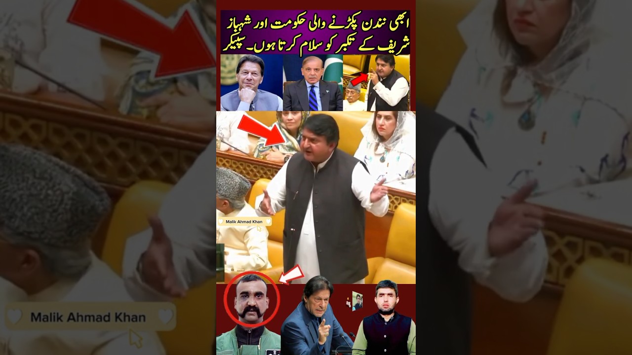 I salute the government that is currently holding Nandan and arrogance of Shehbaz Sharif. Speaker
