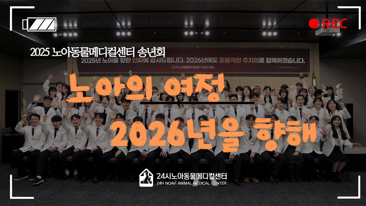 노아의 여정, 다음 2026년을 향해 ㅣ 2025 노아동물메디컬센터 송년회