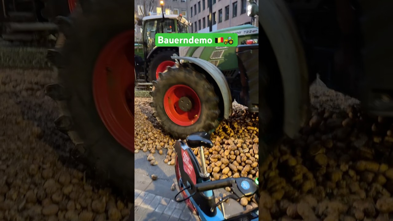 🚜🇧🇪 #farmer sch&uuml;tten #kartoffeln auf die Stra&szlig;e! #bauerndemo #bauernprotest #belgium