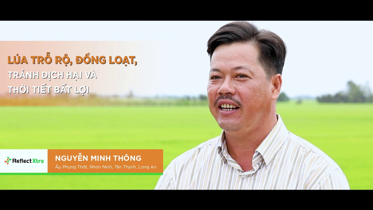 Reflect&reg;Xtra 325SC: N&ocirc;ng D&acirc;n n&oacute;i về việc sử dụng Reflect&reg;Xtra 325SC ở thời k&yacute; nu&ocirc;i đ&ograve;ng