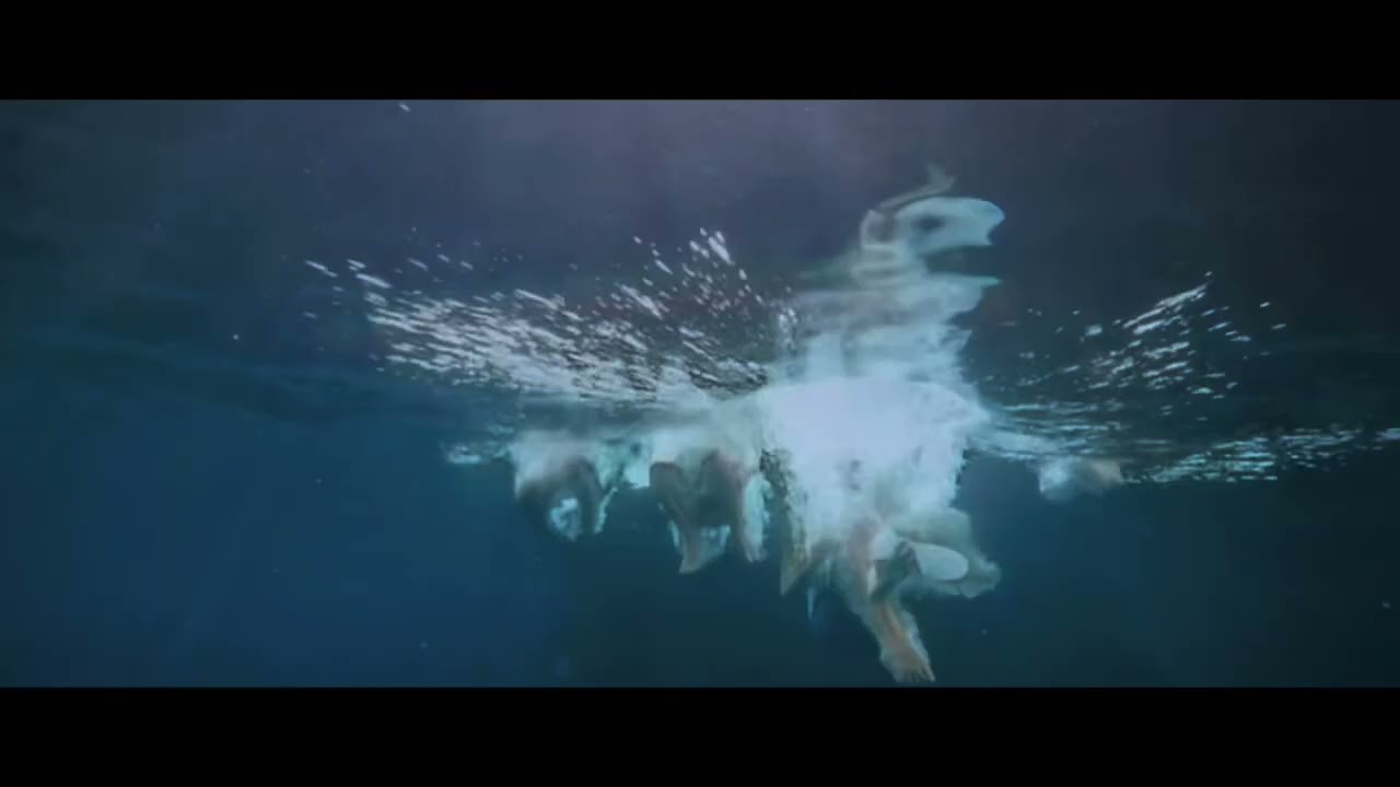 We Were Liars Main Theme (co written & performed by us) @denmarkandwinter