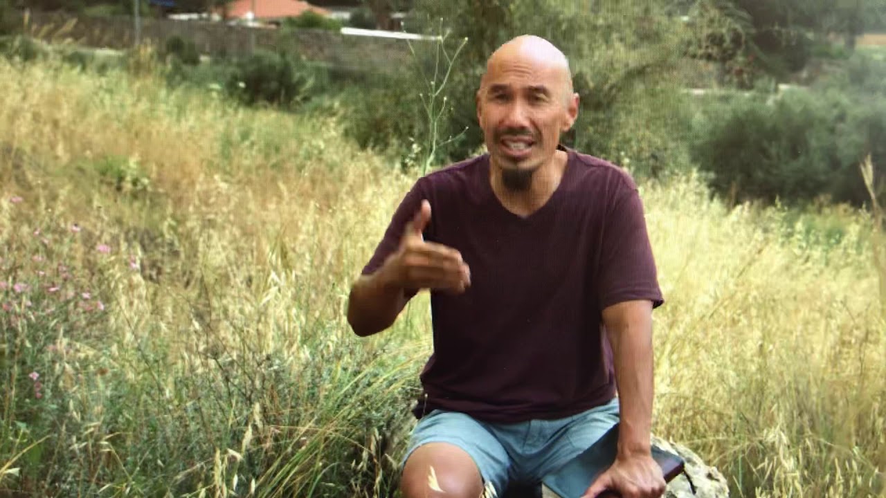 Mark 6:30-8:30 video