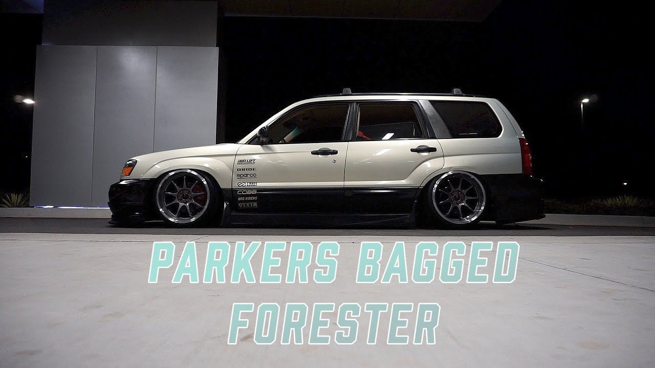 Parker's Bagged Forester