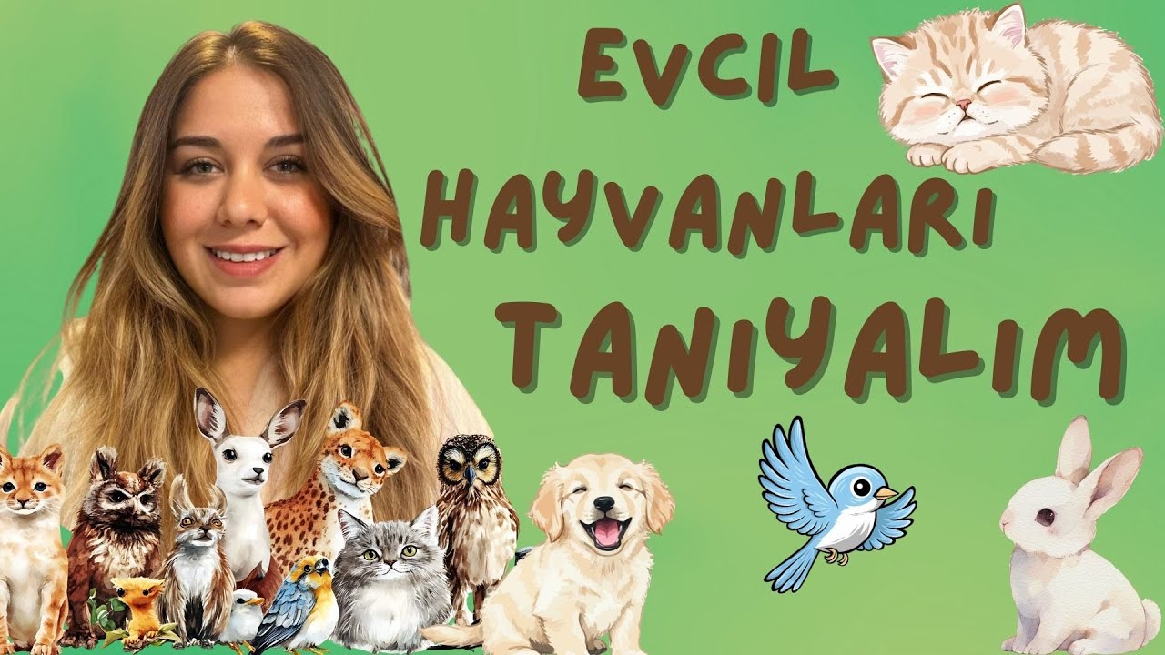 Evcil Hayvanları Tanıyalım 🐶🐱 | Hayvan Sesleri | Eğitici Çocuk Şarkısı
