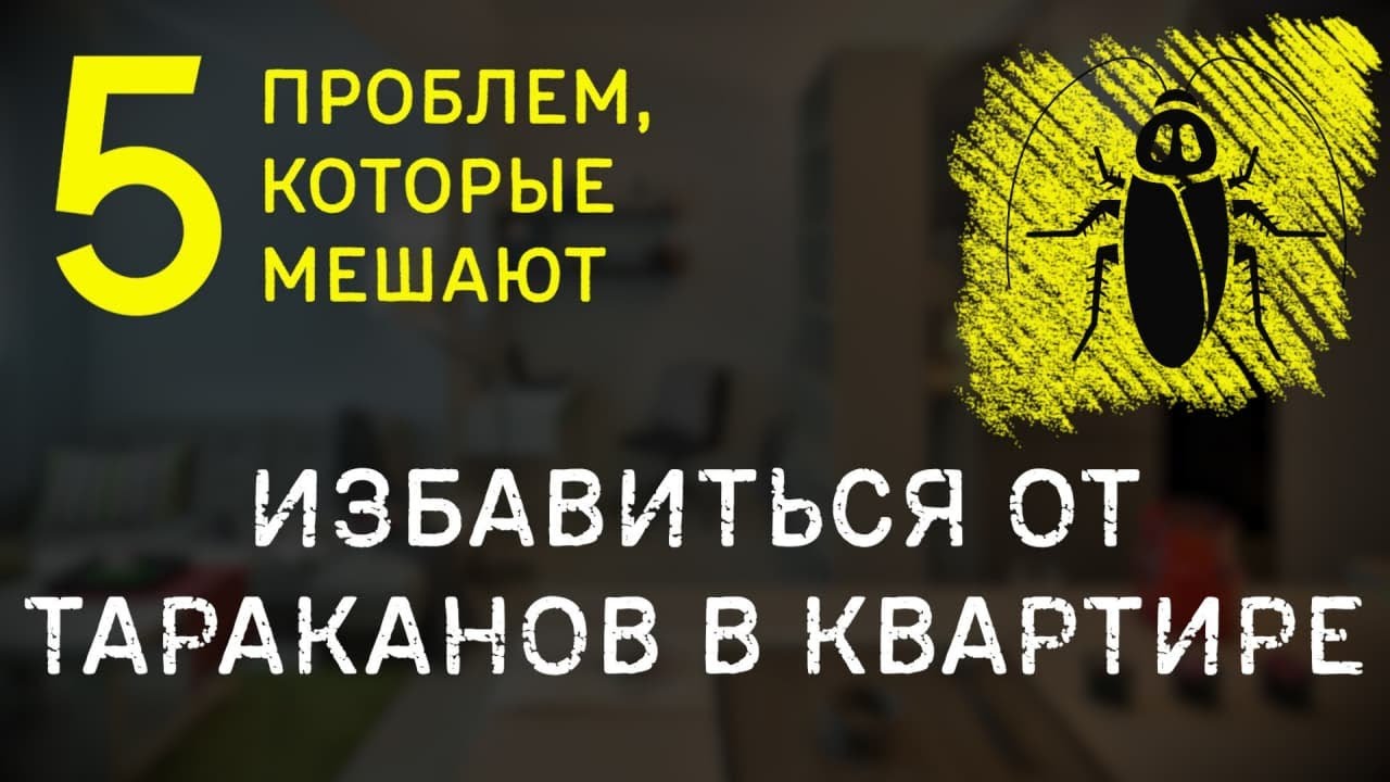 ТАРАКАНЫ В КВАРТИРЕ СНОВА И СНОВА — ПОЧЕМУ?
